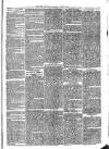 Sydenham Times Tuesday 21 April 1863 Page 3