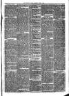 Sydenham Times Tuesday 02 June 1863 Page 3