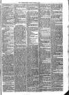 Sydenham Times Tuesday 15 March 1864 Page 6
