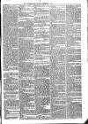 Sydenham Times Tuesday 15 November 1864 Page 5