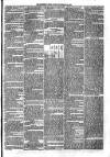 Sydenham Times Tuesday 24 January 1865 Page 5