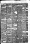 Sydenham Times Tuesday 28 March 1865 Page 7