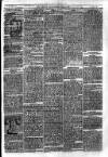 Sydenham Times Tuesday 13 June 1865 Page 7