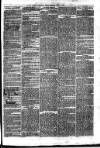 Sydenham Times Tuesday 27 June 1865 Page 7