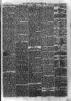 Sydenham Times Tuesday 23 January 1866 Page 7