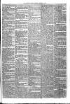 Sydenham Times Tuesday 02 October 1866 Page 4