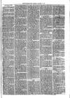 Sydenham Times Tuesday 15 January 1867 Page 3