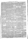 Sydenham Times Tuesday 21 January 1868 Page 3