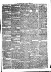 Sydenham Times Tuesday 28 July 1868 Page 3