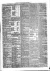 Sydenham Times Tuesday 28 July 1868 Page 5