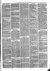 Sydenham Times Tuesday 11 May 1869 Page 3