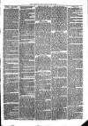 Sydenham Times Tuesday 22 June 1869 Page 3