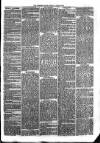 Sydenham Times Tuesday 29 June 1869 Page 3