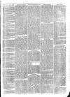 Sydenham Times Tuesday 01 March 1870 Page 3