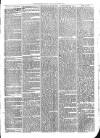 Sydenham Times Tuesday 22 March 1870 Page 3