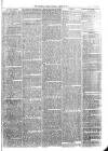 Sydenham Times Tuesday 29 March 1870 Page 7