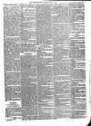 Sydenham Times Tuesday 05 April 1870 Page 5