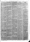 Sydenham Times Tuesday 05 April 1870 Page 7