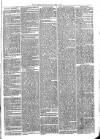Sydenham Times Tuesday 17 May 1870 Page 3