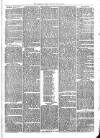 Sydenham Times Tuesday 14 June 1870 Page 3