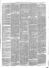 Sydenham Times Tuesday 28 June 1870 Page 3