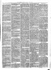 Sydenham Times Tuesday 05 July 1870 Page 3