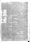 Sydenham Times Tuesday 12 July 1870 Page 7