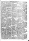 Sydenham Times Tuesday 19 July 1870 Page 5