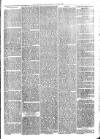 Sydenham Times Tuesday 26 July 1870 Page 7