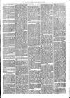 Sydenham Times Tuesday 02 August 1870 Page 3