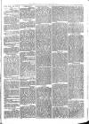 Sydenham Times Tuesday 16 August 1870 Page 3