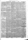 Sydenham Times Tuesday 16 August 1870 Page 7