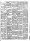 Sydenham Times Tuesday 30 August 1870 Page 3