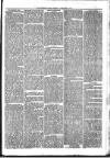 Sydenham Times Tuesday 03 February 1874 Page 3