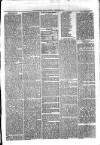 Sydenham Times Tuesday 10 March 1874 Page 7