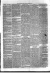 Sydenham Times Tuesday 21 April 1874 Page 3
