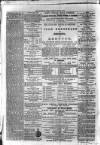 Sydenham Times Tuesday 05 May 1874 Page 8