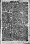 Sydenham Times Tuesday 23 June 1874 Page 5