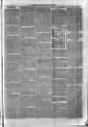 Sydenham Times Tuesday 23 June 1874 Page 7
