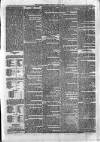 Sydenham Times Tuesday 21 July 1874 Page 5