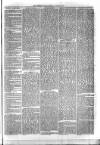 Sydenham Times Tuesday 04 August 1874 Page 3