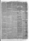 Sydenham Times Tuesday 01 September 1874 Page 3