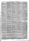 Sydenham Times Tuesday 09 February 1875 Page 3