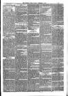 Sydenham Times Tuesday 09 February 1875 Page 5