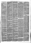 Sydenham Times Tuesday 08 June 1875 Page 3