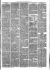 Sydenham Times Tuesday 08 June 1875 Page 7