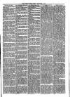 Sydenham Times Tuesday 14 September 1875 Page 3