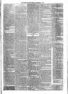 Sydenham Times Tuesday 14 September 1875 Page 5