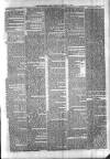 Sydenham Times Tuesday 18 January 1876 Page 5