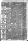 Sydenham Times Tuesday 25 January 1876 Page 4